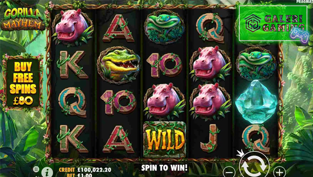 Situs Slot Terpercaya Hadirkan Serunya Gorilla Mayhem!