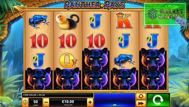 Panther Pays Intai 3 Bonus Slot Online di Belantara