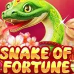 Cnnslot Login Jelajahi 5 Snake Of Fortune yang Licin