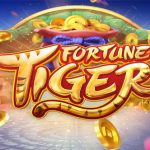 Fortune Tiger Bosku Ekstra Slot Online di Menit 17