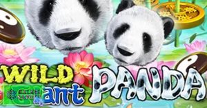 Wild Giant Panda Slot Paling Terbaik 1 Minggu Ini