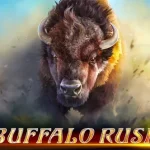 Buffalo Rush Dapat 65 Respin Enthusiast Besar