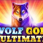 Wolf Gold Ultimate Step By Step Bingung Bahas 3 Istilah